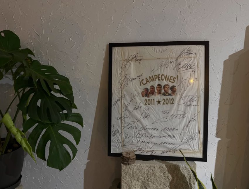 Rincón del local con una camiseta firmada enmarcada y una monstera